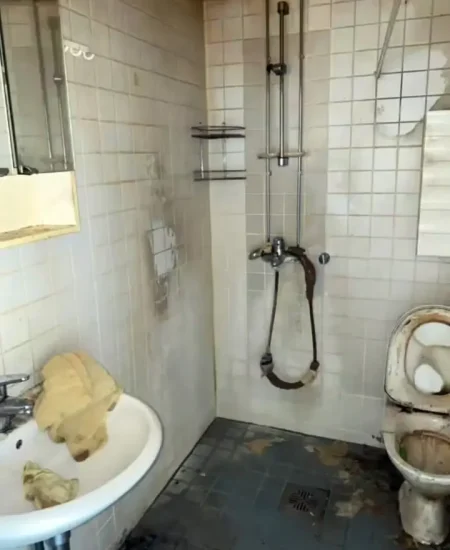 Top Clean Royal - Cleaning Service (7)